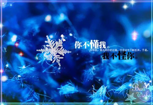 唯美意境雪景图片_雪花飘落的美丽风景