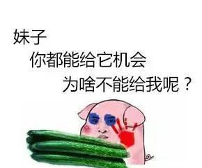 调戏专用表情包，聊天斗图必备！