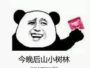 调戏专用表情包，聊天斗图必备！