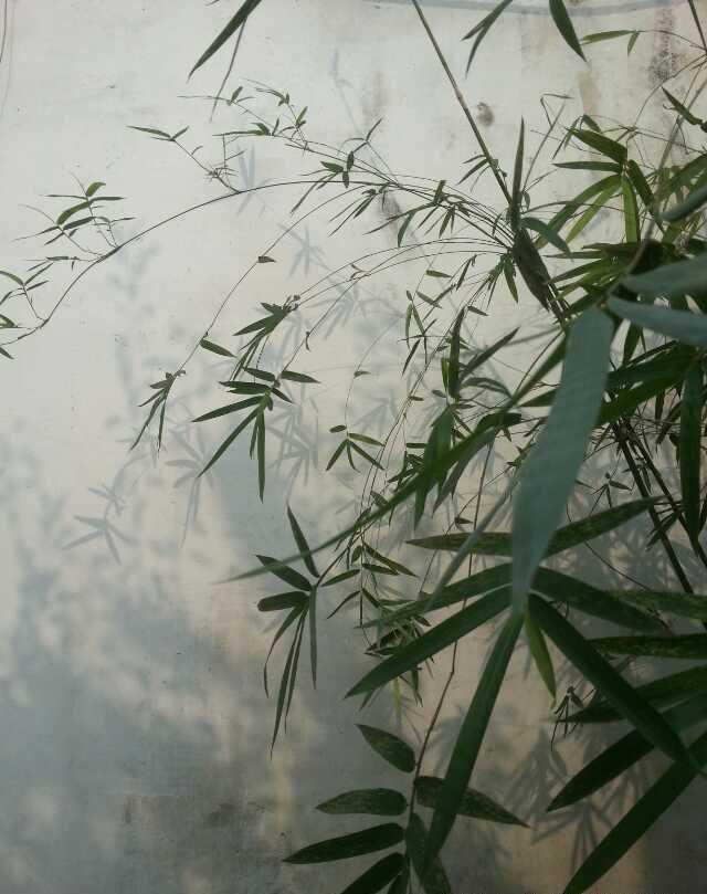 灯下读史：命赚人缘