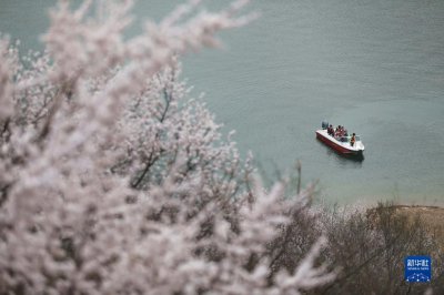 ​喜峰口长城山花开