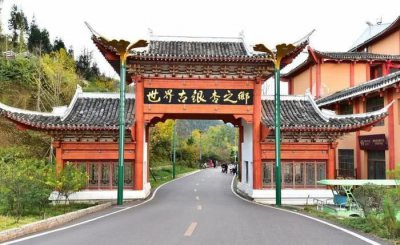 ​令人难忘的妥乐村，被誉为世界古银杏之乡