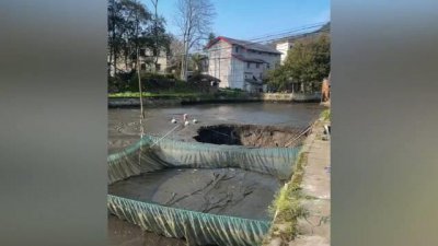 ​重庆一鱼塘神秘大坑吞噬2万斤鱼 回应：初步结论为岩溶塌陷