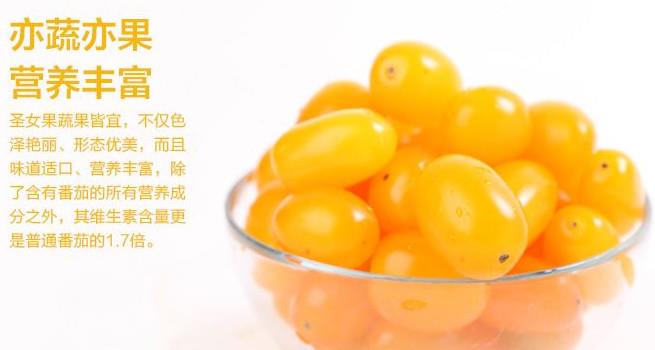 圣女果能减肥吗？圣女果可以减肥吗