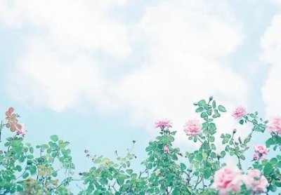 ​非诚勿扰赵永笑个人简介 长相出众牵手成功很受欢迎