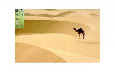 ​遭遇老公出轨，结果小三太嚣张，要了钱还要婚姻