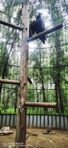 ​大兴野生动物园游玩的攻略