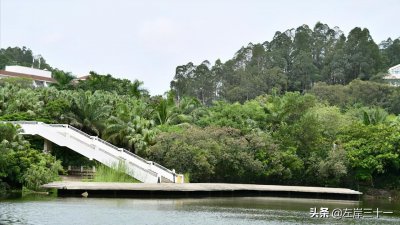 ​东莞虎英公园，有青山绿水有游乐园还有雕塑，是亲子游的好去处