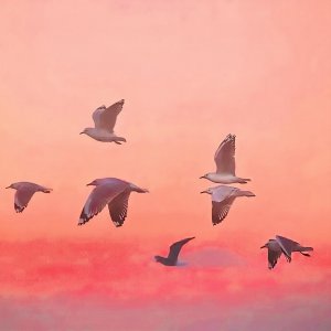 ​「朋友圈背景图」“一直陪着我吧，无论什么身份”