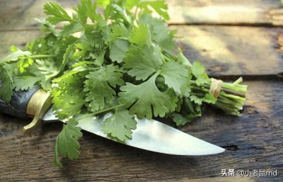 ​香菜的种植方法和时间，你了解多少？
