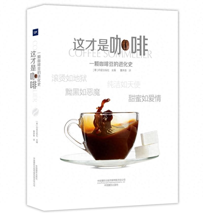咖啡与牛奶完美组合，8款咖啡配料满足你的味蕾