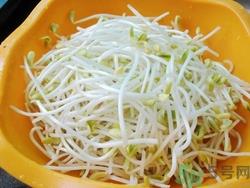 产妇可以吃豆豆芽?产妇吃豆芽回奶吗