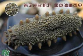 春天能吃海参吗？春天吃海参效果好吗？