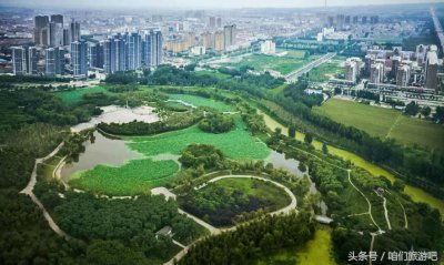 ​河南省焦作市孟州市