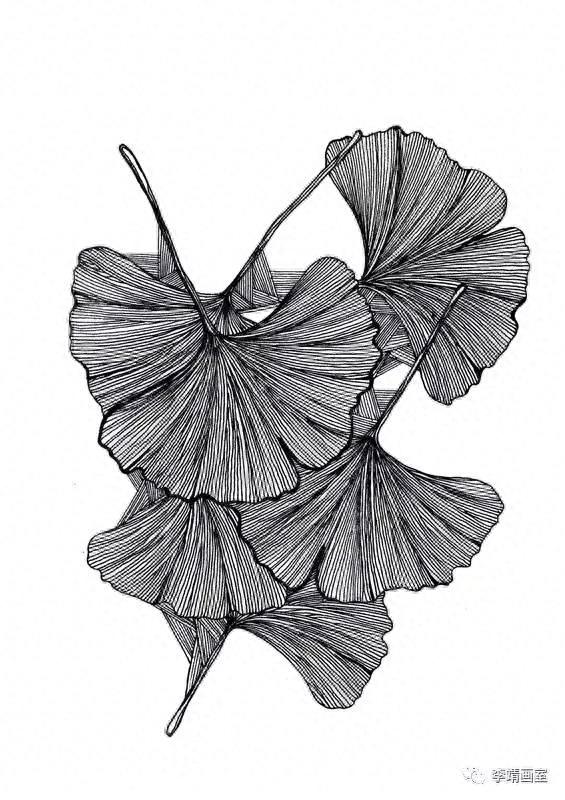 四川美术学院设计黑白装饰画优秀作品（1）