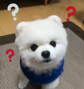 ​狗一定得挤肛门腺吗？这个养狗误区太容易犯了