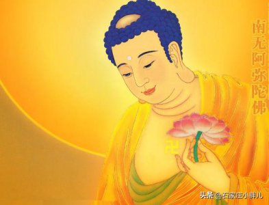 ​佛语“南无阿弥陀佛”什么意思？怎么读？有人读了一辈子还发错音