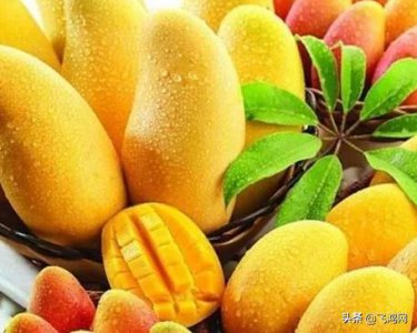 ​这里有一份菲律特产名单，拿走不送