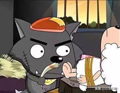 ​喜羊羊与灰太狼：三个少儿不宜的镜头，灰太狼煮羊，红太狼太暴力