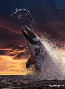 ​6600万年前身长9米的海蜥蜴统治海洋，头骨巨大牙齿锋利