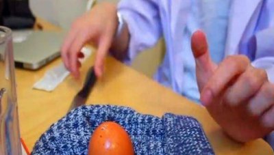 ​把“精子”注射到鸡蛋里面，会出现什么结果？