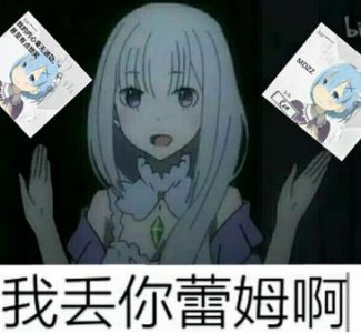 ​丢你雷姆到底是个什么梗？