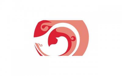 ​两个人怎么经营婚姻，婚姻的秘密：两个人如何经营才能幸福？