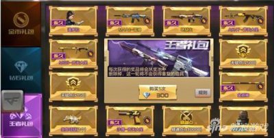 ​穿越火线手游王者礼包多少钱 值得购买吗