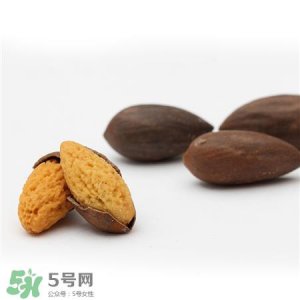 ​香榧是什么?香榧子有什么价值