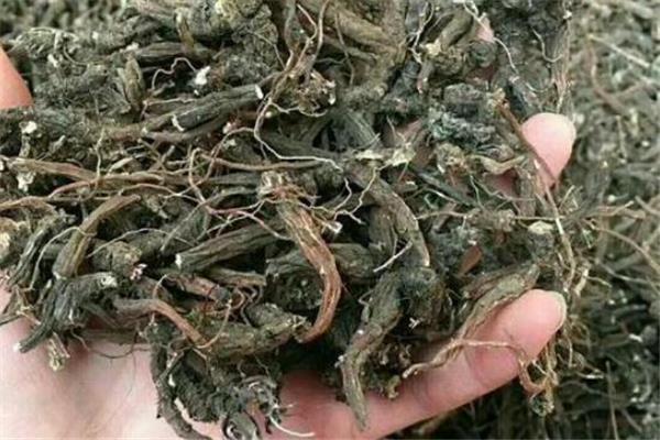 鸭脚草孕妇可以吃吗 鸭脚草炖汤孕妇能喝吗