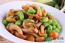 滑子菇的营养价值 滑子菇的功效与作用