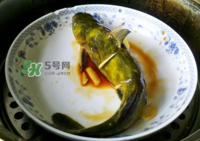 ​黄刺鱼怎么杀？黄刺鱼怎么处理
