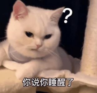 ​表情｜哄对象专用3（我面壁，我思过）