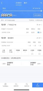 ​航班延误或取消了？如何应对