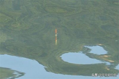 ​图解调四钓二，理解了调四钓二的真正含义，调漂会更加轻松