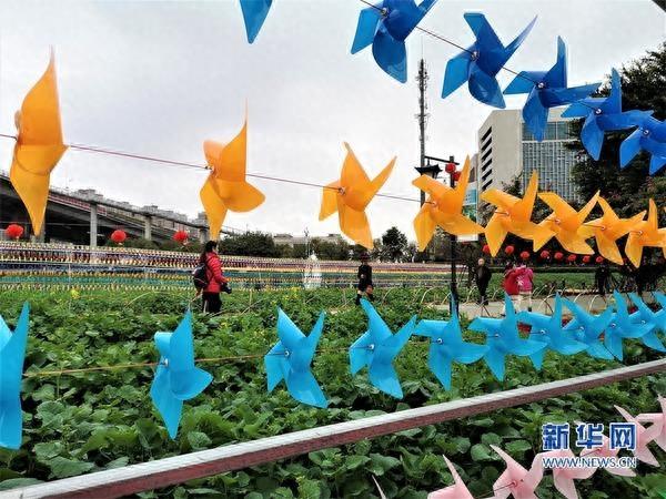 福建福州：花海公园成网红打卡地
