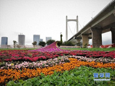 ​福建福州：花海公园成网红打卡地