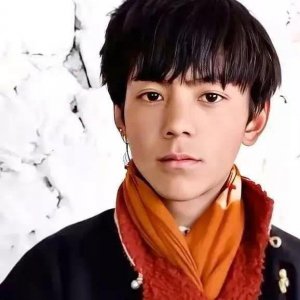 ​从拉斯韦尔5W模式看“丁真走红”现象