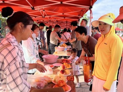 ​“桃王”争霸“甜蜜一夏”！一起来“桃醉”卫辉吧