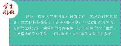 ​「趣味数学」奇妙的“缺8数”