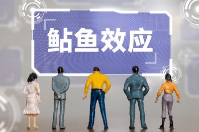 ​什么是鲶鱼效应