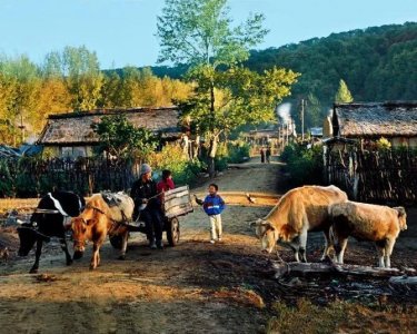 ​农村养殖什么不愁没销路？展望最有前景的五大养殖业！