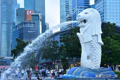 ​新加坡是由华人组建的国家，独立后为何不回归祖国？