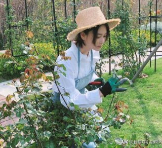 ​张馨予嫁人后成贤妻良母，热衷晒美食，网友：可以改行做美食主播
