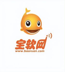 ​宝软网，有人知道吗？