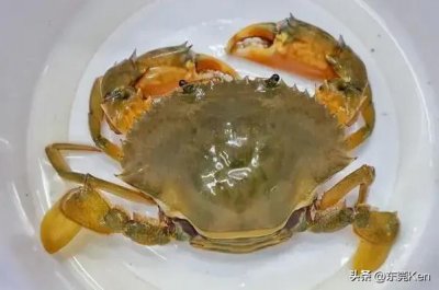 ​东莞传统美食汇——虎门黄油蟹