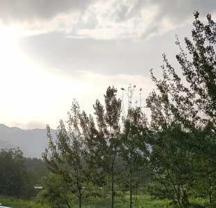 ​关山牧场旅游攻略