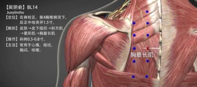​厥阴俞穴—心悸胸闷之良穴