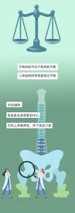 ​「一图看懂」如果你有骨盆前倾，会发生什么？