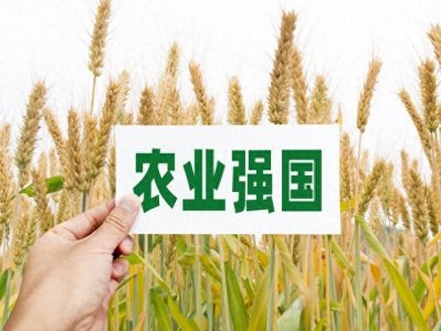 ​国家最新三农政策，你了解多少